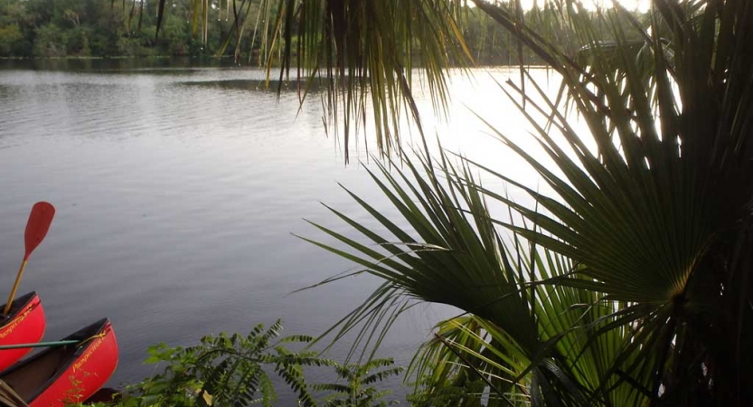 On the right side of the photo, tropical leaves frame a calm body of water. On the left side, the tips of two red canoes can be seen floating on the water. 